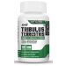 Buy Tribulus Extract Capsules Supplement In India