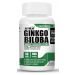 Buy Ginkgo Biloba Extract powder Supplement In India