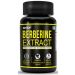 Buy Berberine Extract 98% 500mg Capsules | Promotes Immune Support & Maintains healthy cholesterol level