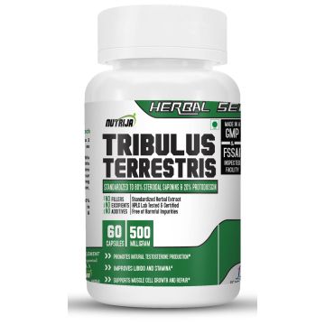 Buy Tribulus Extract Capsules Supplement In India