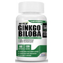 Ginkgo Biloba Extract 120mg