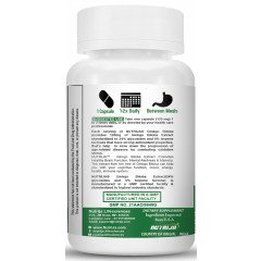 Ginkgo Biloba Extract 120mg