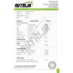 Green Tea Extract 500MG