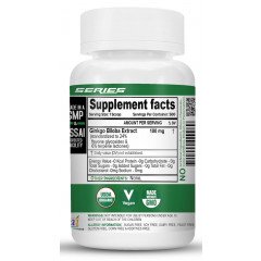 Ginkgo Biloba Extract