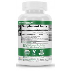 Green Tea Extract