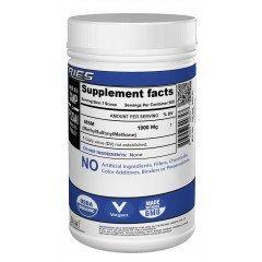 MSM Powder