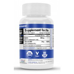 GABA 500MG