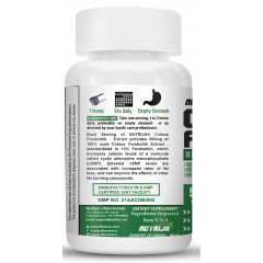 Forskolin (Coleus Forskohlii Extract)