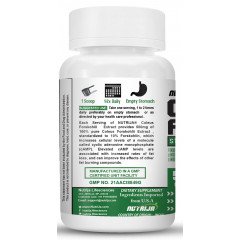 Forskolin (Coleus Forskohlii Extract)