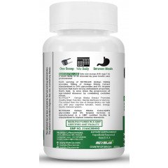 Ginkgo Biloba Extract