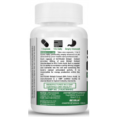 Shilajit Extract 500MG