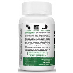 Shilajit Extract 500MG