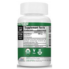 Shilajit Extract 500MG